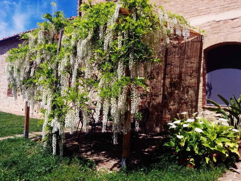 La Fornace Di San Galgano Villa Frosini Екстериор снимка